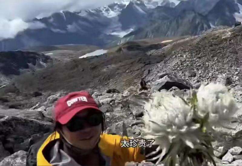 户外博主炫耀同伴采摘雪莲 视频账号被封禁 野生动植物保护部门介入调查